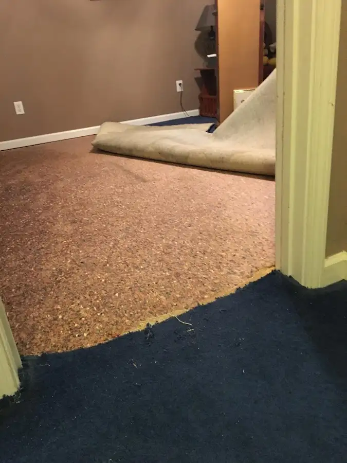 Carpet pad removal revealing water damage during Drying & Dehumidification in Lima